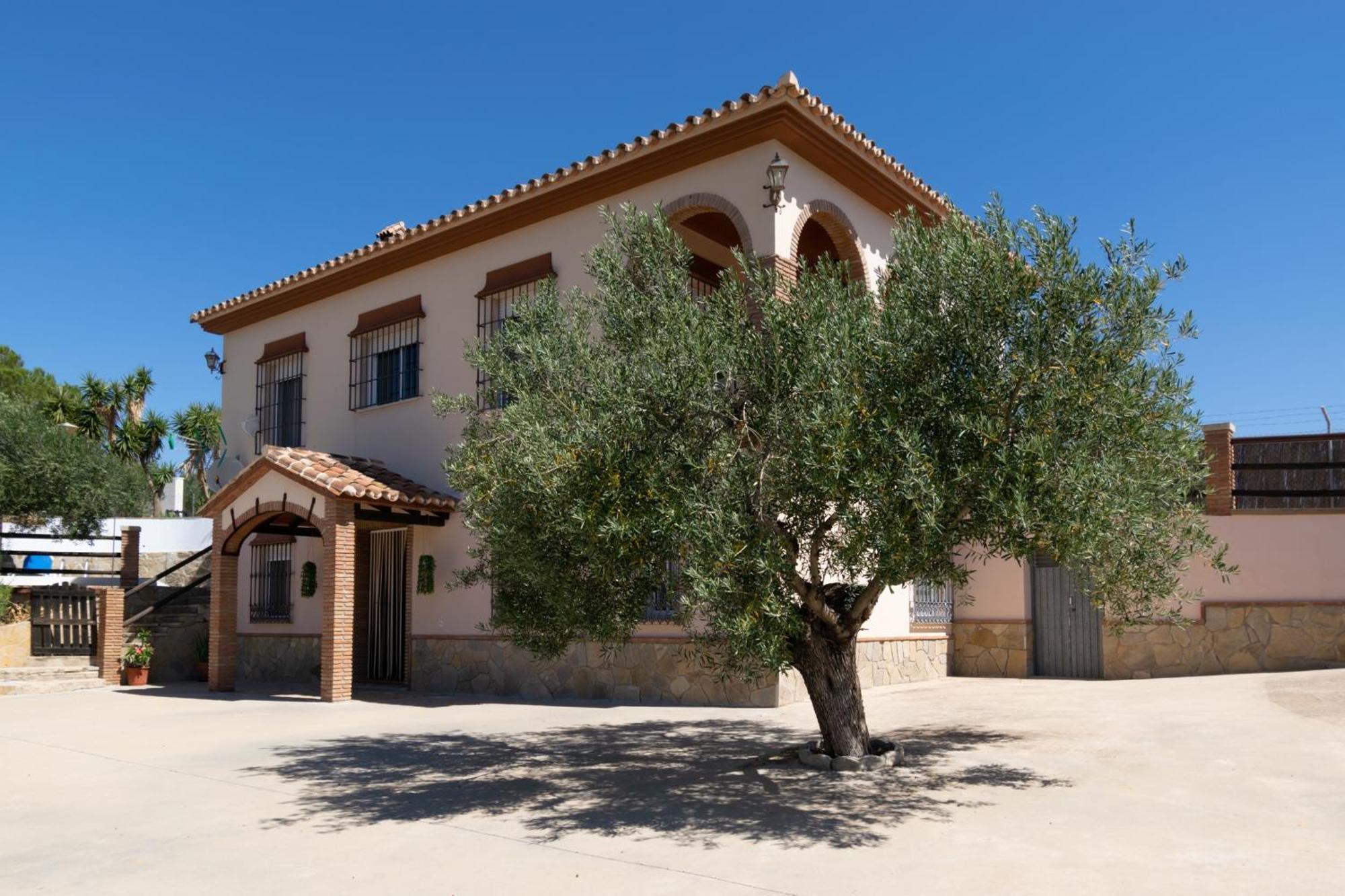 Casa Los Olivos Alora - Caminito Del Rey Buitenkant foto